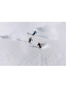 FREEFLEX DEMO 14 GW Rennbindungen – Tyrolia