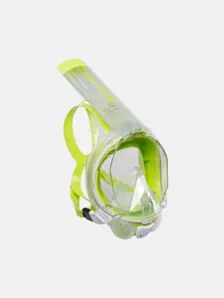 white/lime