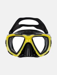 yellow/black