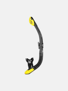 black yellow