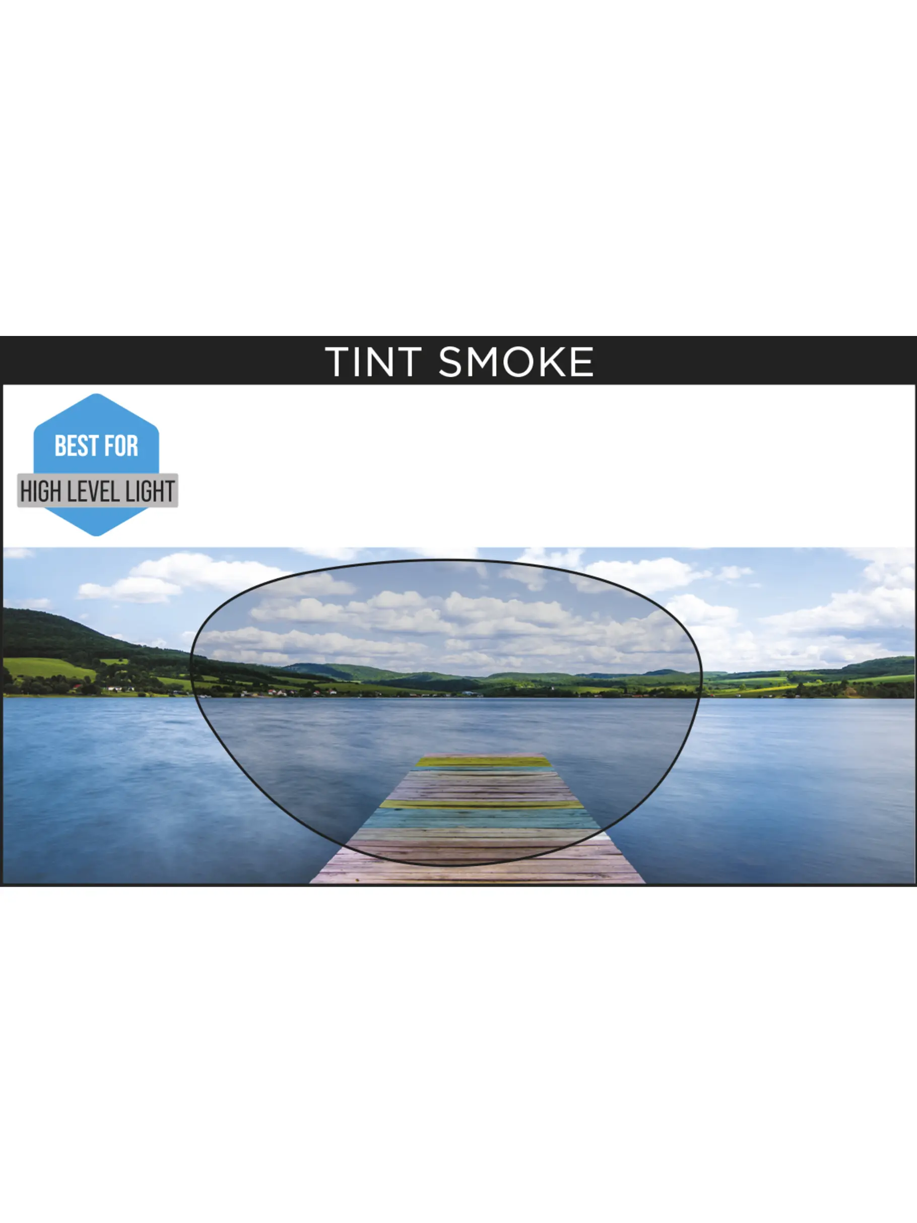 , view full size image of Front view of Product detail - Predator Goggles Tint Smoke Lens BLWHTSM