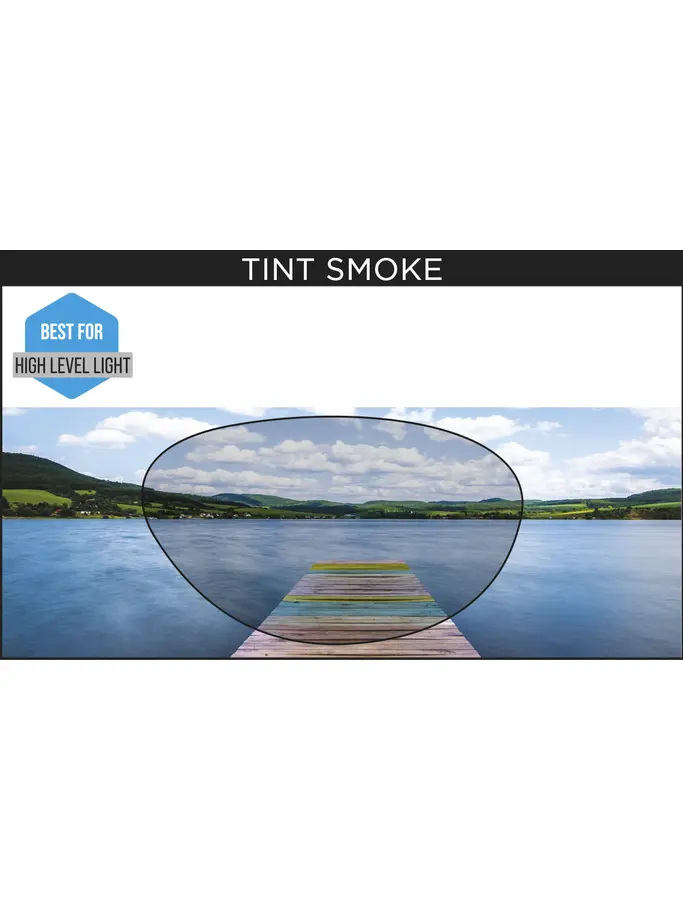 , view full size image of Front view of Product detail - Predator Goggles Tint Smoke Lens Pink/White - Tinted Smoke Lens