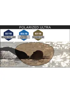 Display front view 4 of Product detail - Predator Swimming Polarized Ultra Goggles GYORPCP