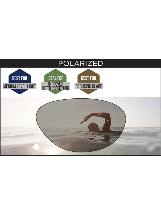 , view full size image of Front view of Product detail - Predator Polarized Goggles BLWHPSM