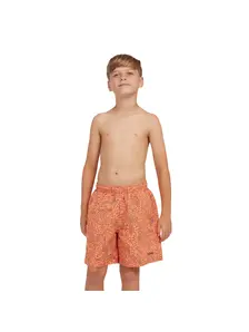 Display front view 1 of Product detail - Boys Dakar 15 Inch Water Swim Shorts DAKA