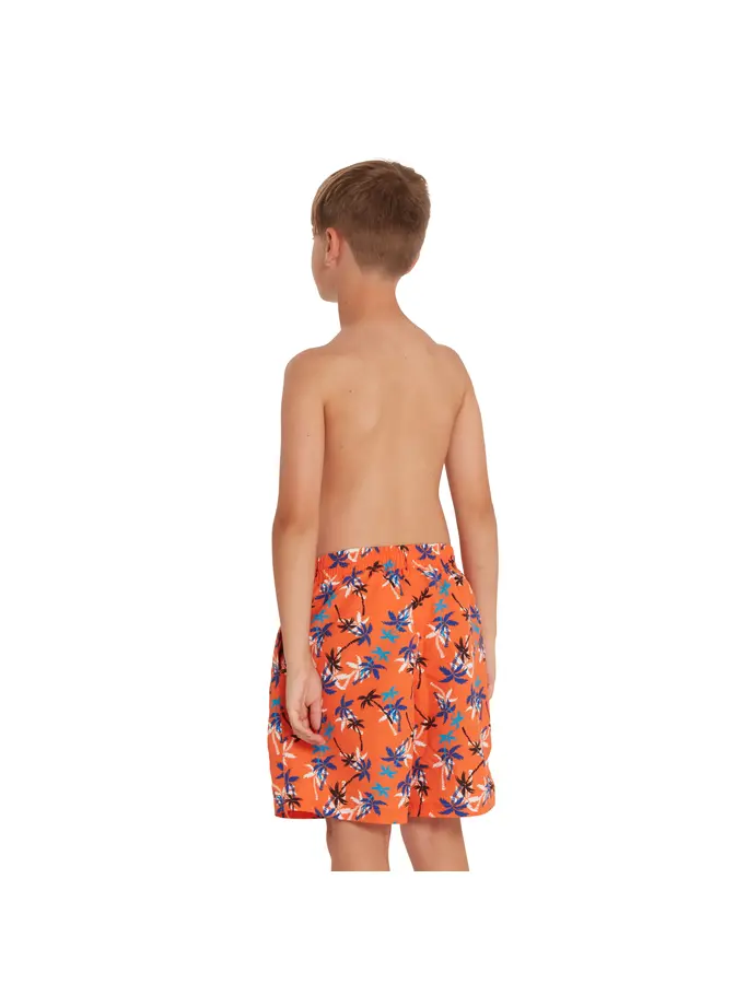 Sale, view full size image of Front view of Product detail - Boys Heyday Print 15 Inch Water Shorts HEDY
