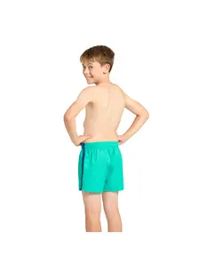 Display front view 3 of Product detail - Junior Boys 13 Inch Sunbay Shorts MN