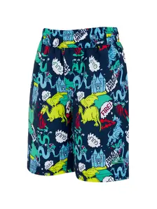 Display front view 1 of Product detail - Boys Dragon Watershorts DRAG