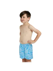 Display front view 1 of Product detail - Boys Geometric Watershorts GEOM