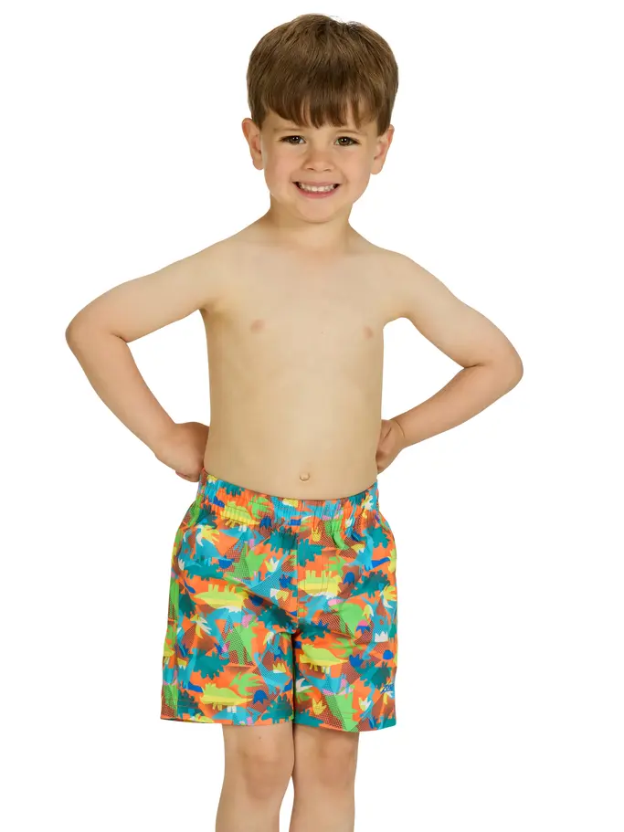 Sale,Clearance, view full size image of Front view of Product detail - Boys Saurus Watershorts SAUR