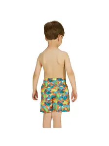 Display front view 3 of Product detail - Boys Saurus Watershorts SAUR