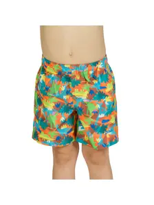 Display front view 4 of Product detail - Boys Saurus Watershorts SAUR