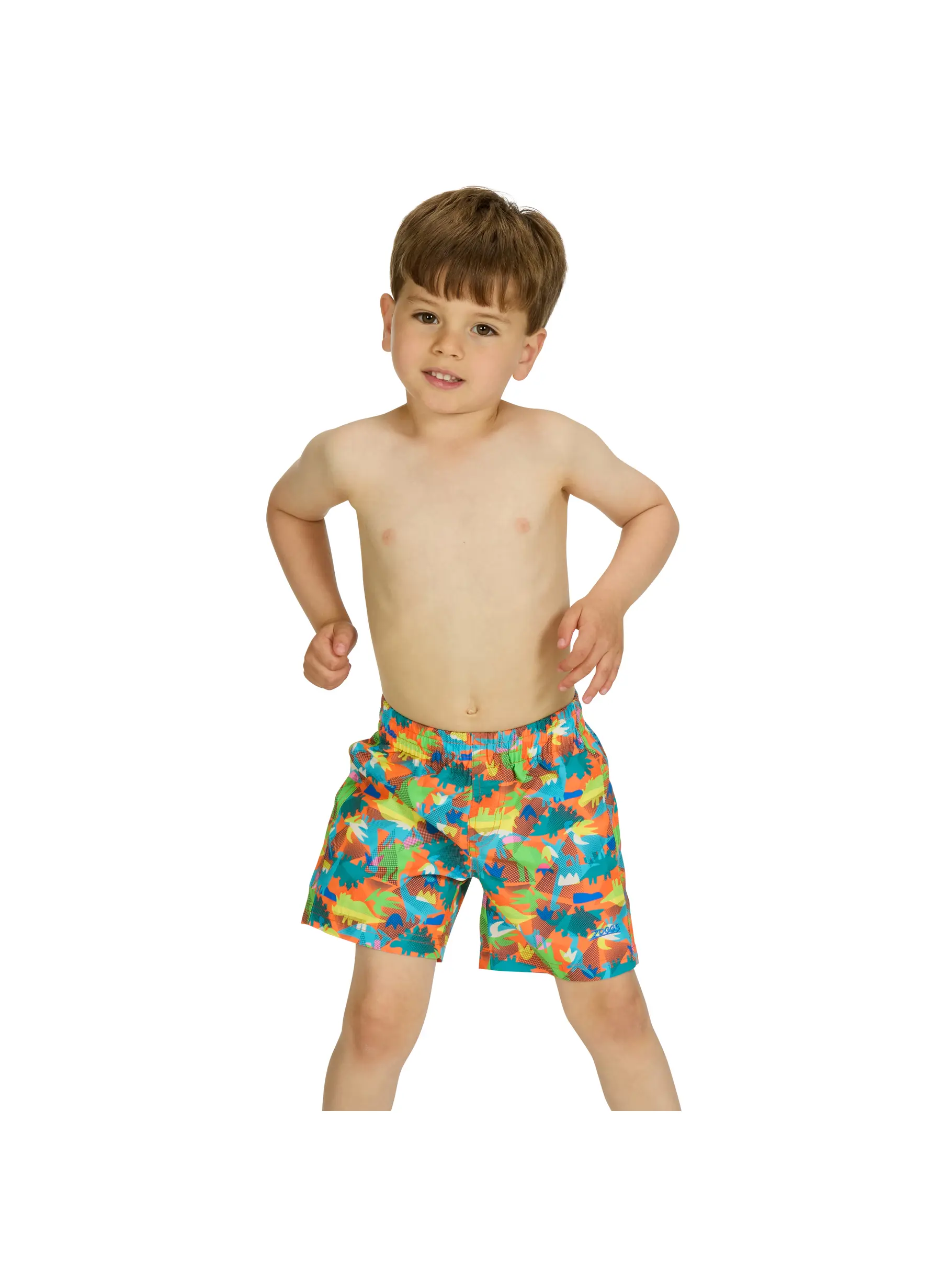 New, view full size image of Front view of Product detail - Boys Saurus Watershorts SAUR