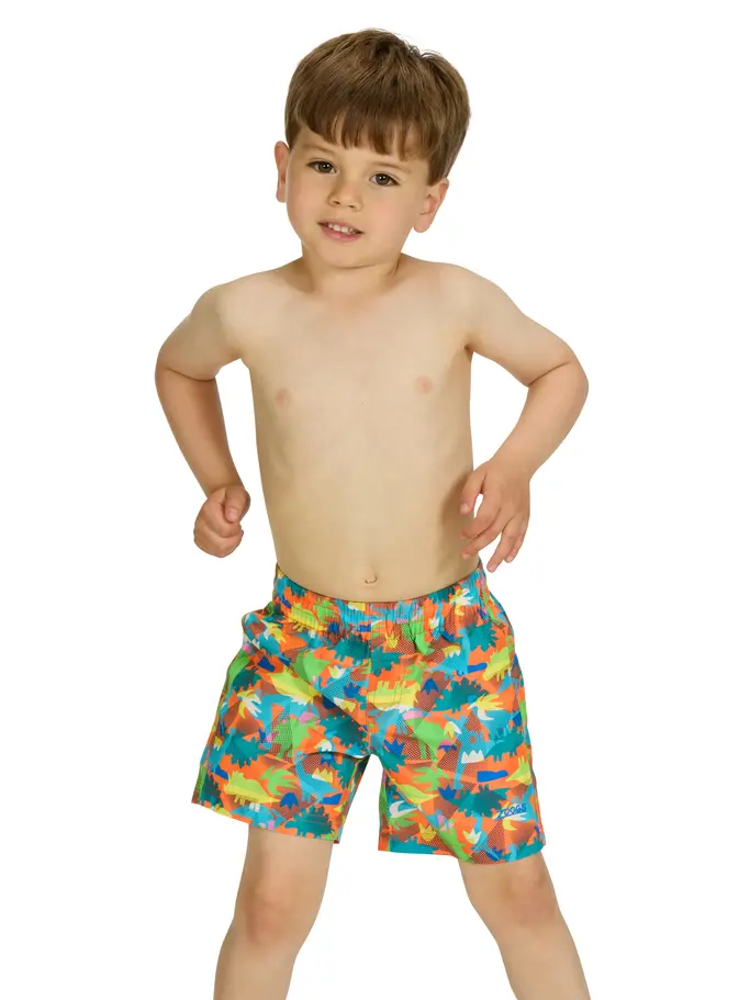 Sale,Clearance, view full size image of Front view of Product detail - Boys Saurus Watershorts SAUR