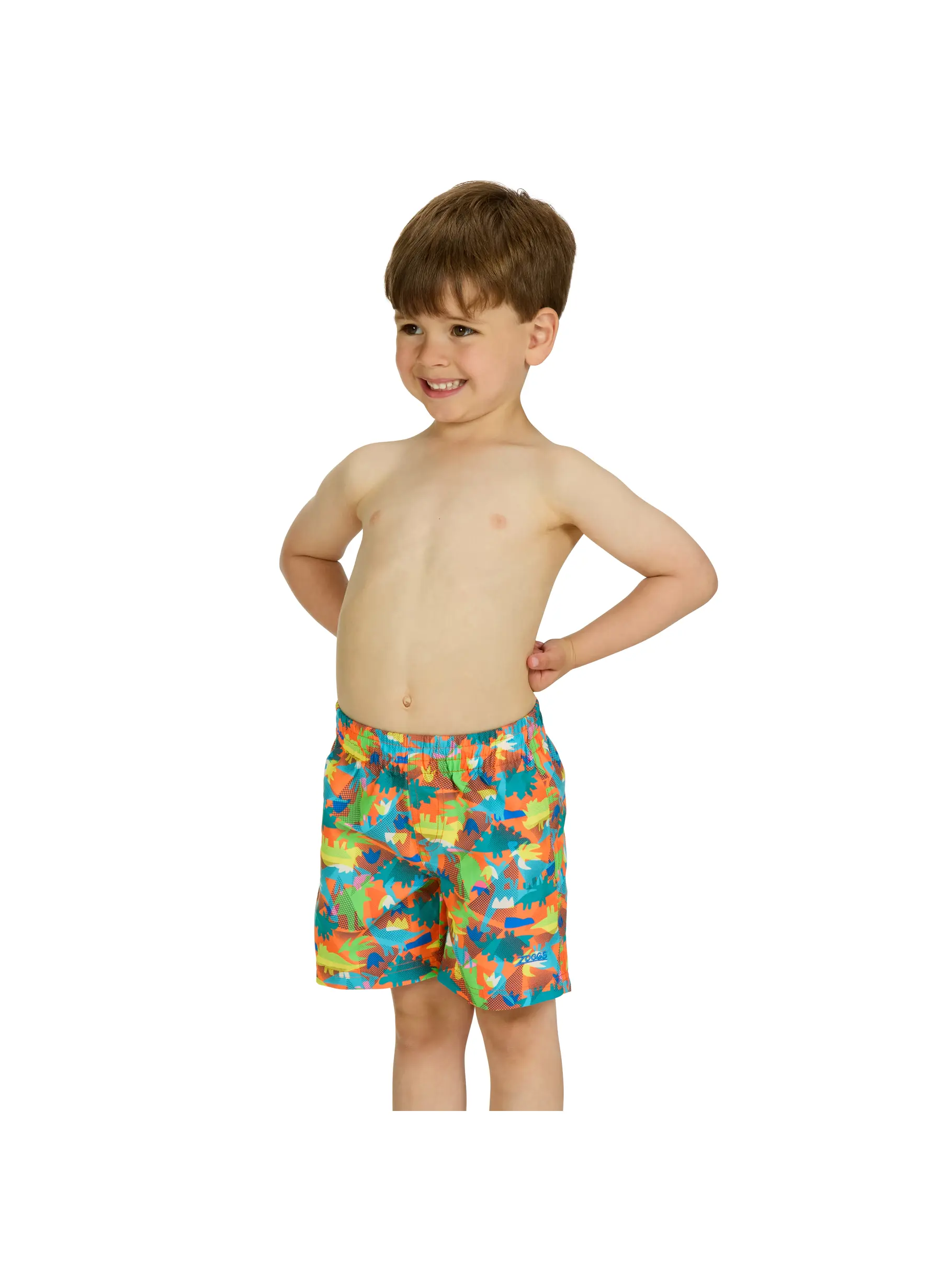 New, view full size image of Front view of Product detail - Boys Saurus Watershorts SAUR