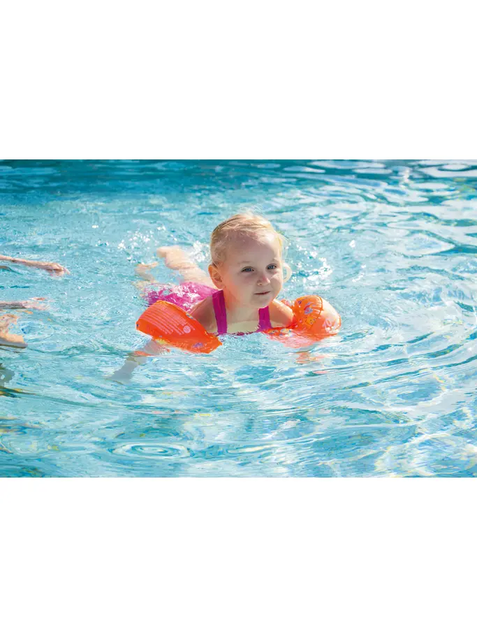 , view full size image of Front view of Product detail - Inflatable Zoggy Arm Rings