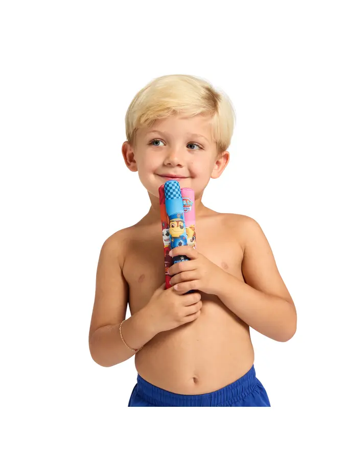 New, view full size image of Front view of Product detail - Pool Toy - Paw Patrol Dive Sticks AST