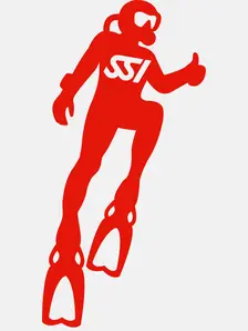 Display front view 1 of Product detail - Sticker SSI Diver - 50 Pack