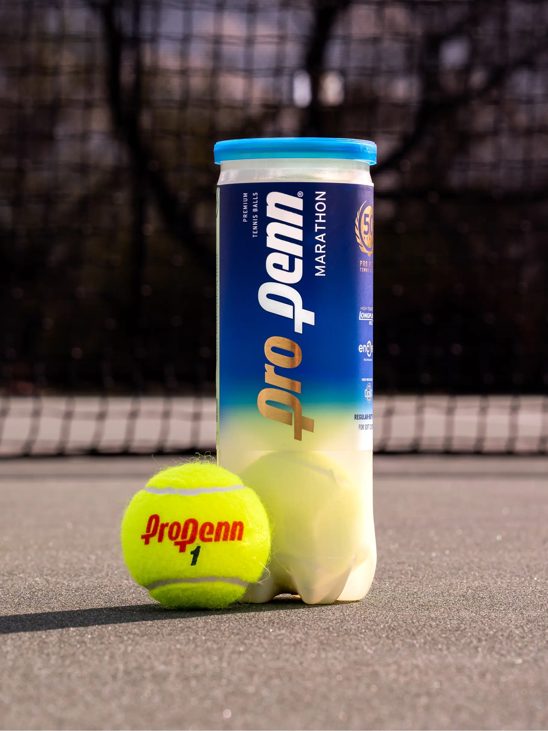 , view full size image of Front view of Product detail - Penn Tour Regular-Duty Felt  3-ball Can