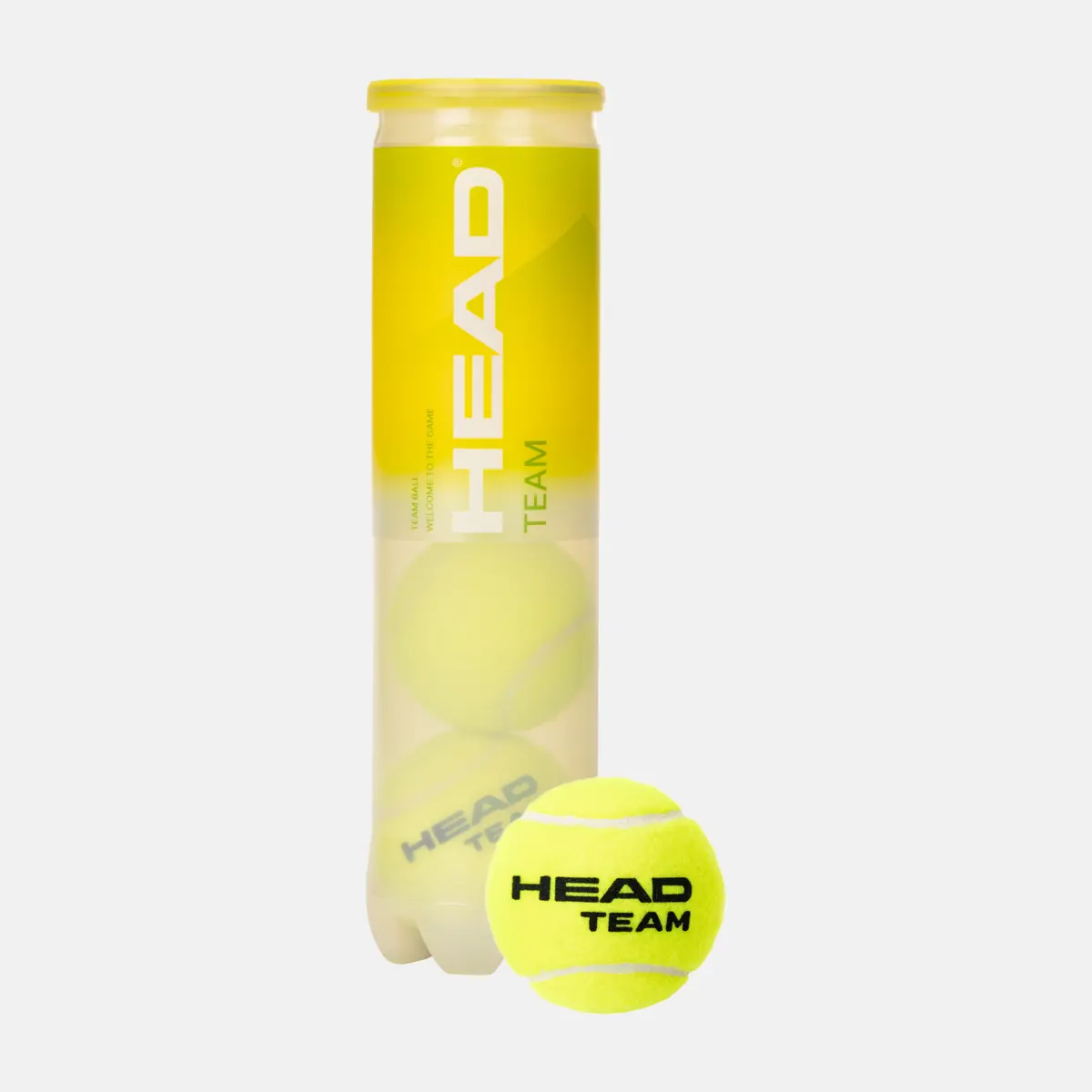 HEAD TEAM 4 Tennis Balls Single Can – HEAD