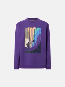 Display front view 1 of Product detail - RALLY Crewneck Men purple