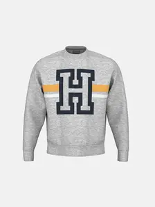 Display front view 1 of Product detail - PERFORMANCE CAPSULE Sweatshirt Unisex grey melange