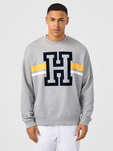 Display front view 3 of Product detail - PERFORMANCE CAPSULE Sweatshirt Unisex grey melange