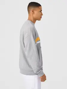 Display front view 6 of Product detail - PERFORMANCE CAPSULE Sweatshirt Unisex grey melange