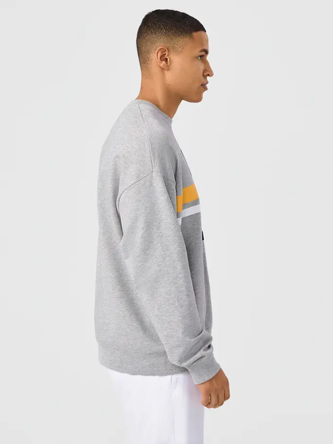 Sale,Best Seller, wyświetl pełno wymiarowy obraz widoku z przodu Product detail - PERFORMANCE CAPSULE Sweatshirt Unisex grey melange