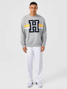 Display front view 8 of Product detail - PERFORMANCE CAPSULE Sweatshirt Unisex grey melange