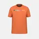 Display front view of Product detail - RAINBOW T-Shirt Men campfire orange
