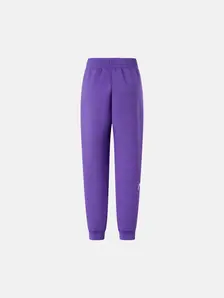 Display front view 2 of Product detail - VISION Pants Women purple