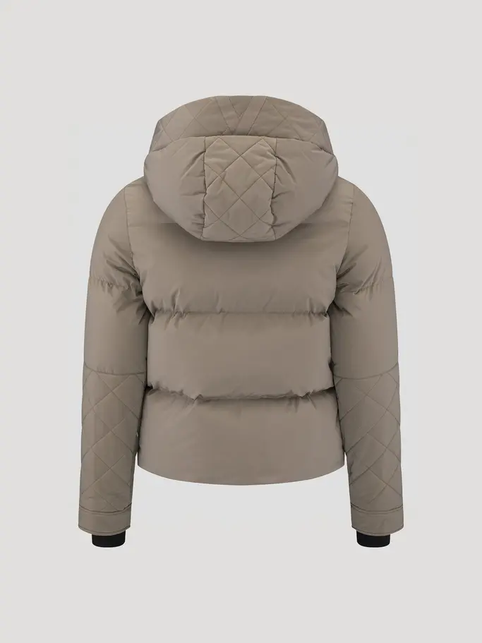 New, view full size image of Front view of Product detail - PINE Ski Jacket Women stone