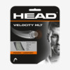 VELOCITY MLT ベロシティ・マルチ – HEAD