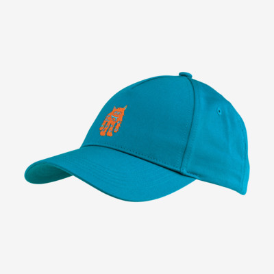 Product overview - Kids Cap Monster TQOR