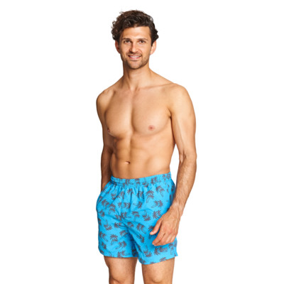 Product overview - Balmy Palmy 15 inch Shorts TQMT