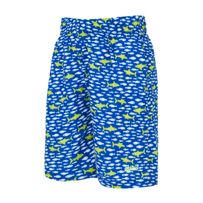 Product overview - Boys Big Fish 15 Inch Water Shorts BIFI
