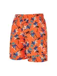 Product overview - Boys Heyday Print 15 Inch Water Shorts HEDY