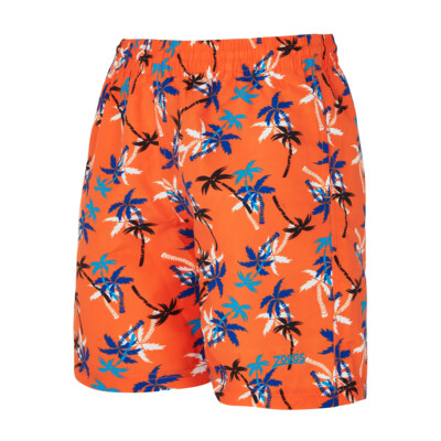 Product overview - Boys Heyday Print 15 Inch Water Shorts HEDY