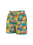 Product overview - Boys Saurus Watershorts SAUR