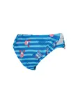 Product overview - Nautical Stripes & Crabs Adjustable Swim Nappy NAST