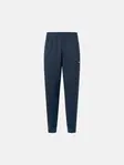 Product overview - VISION Pants Men navy
