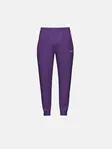 Product overview - VISION Pants Men purple