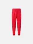 Product overview - VISION Pants Men red