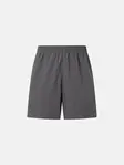 Product overview - CLUB Shorts Men anthracite