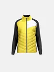 Product overview - DOLOMITI FZ Midlayer Men black/luminous yellow