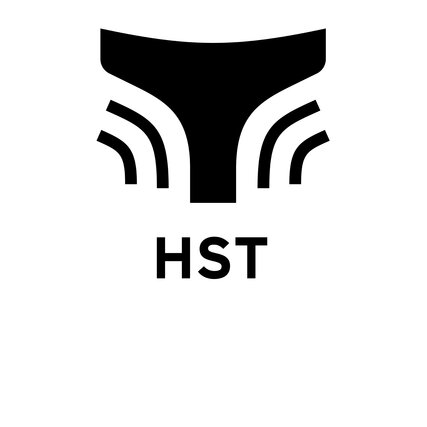 HST (Handle Stabilizer Technology)