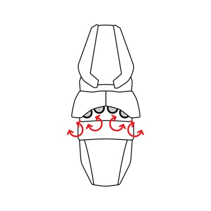 TRP - Toe System